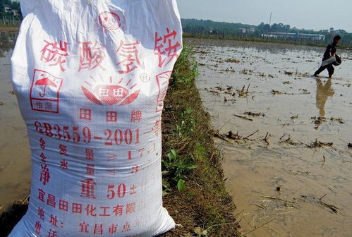 磷肥助力 农民不种地？这四点让你重拾农耕信心